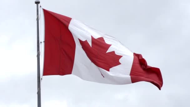 The National Flag of Canada - Footage, Video