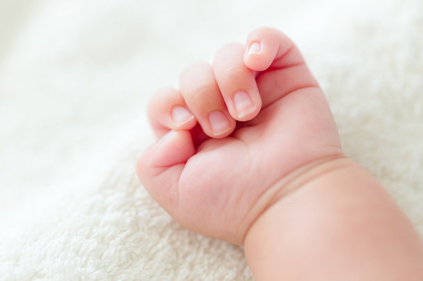 生まれたばかりの赤ちゃんの手  - 写真・画像