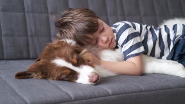 4k. pequeño lindo triste chico acostado en pequeño australiano pastor cachorro perro en sofá - Metraje, vídeo