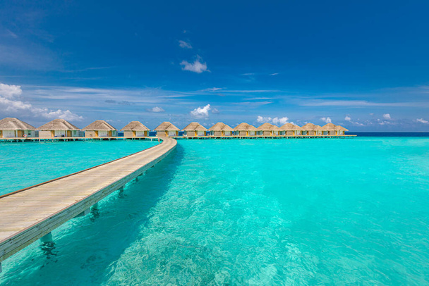 beautiful tropical maldives island with beach and sea water and blue sky background - Photo, Image
