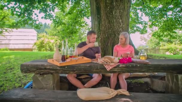 Mladý pár spolu mluví, zatímco mají romantický piknik pod stromem - Záběry, video