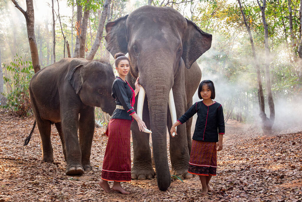 Portré mosolygó nő áll elefánt Thaiföldön. - Fotó, kép