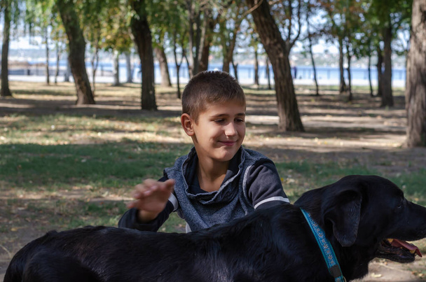 Emotional portrait of a boy stroking a black dog with a blue collar in the park. A 10-year-old child and an 11-year-old female Labrador. A walk in the park with a pet. Blurry hand movement. - Photo, Image
