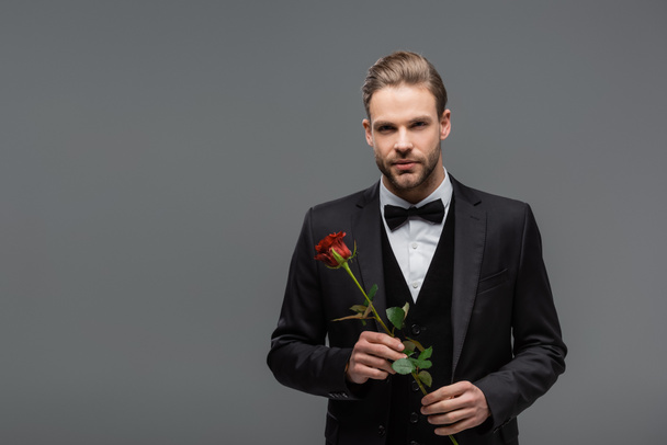 elegantti liikemies mustassa puvussa katselee kameraa pitäen punaista ruusua eristettynä harmaaseen - Valokuva, kuva