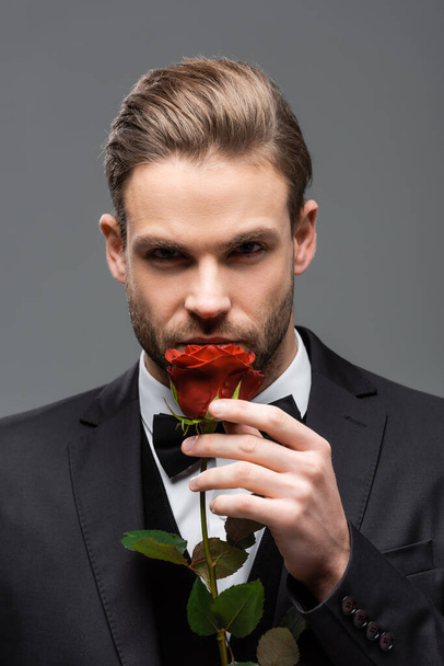 κομψό επιχειρηματίας μυρίζοντας κόκκινο τριαντάφυλλο, ενώ κοιτάζοντας κάμερα απομονωμένη σε γκρι - Φωτογραφία, εικόνα