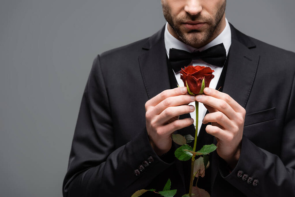 обрезанный взгляд бизнесмена, держащего красную розу изолированы на серый - Фото, изображение