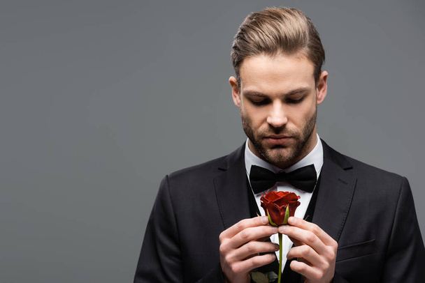 junger Geschäftsmann in schwarzer Fliege mit Blick auf rote Rose vereinzelt auf grau - Foto, Bild