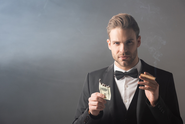 элегантный бизнесмен с обгоревшей долларовой купюрой и сигарой на сером фоне с дымом - Фото, изображение
