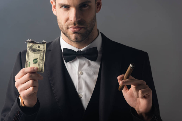 бизнесмен смотрит в камеру, держа в руках сигару и обгоревшую долларовую купюру, изолированную на сером - Фото, изображение