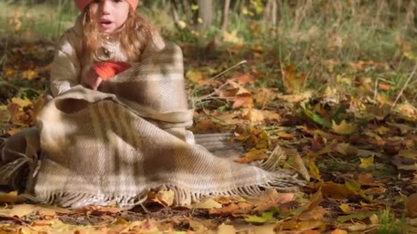Authentic little cute caucasian preschool baby girl 3-4 years in orange beret sitting wrapped in a blanket on ground in fallen yelow leaves in Autumn park or forest. Nature, Season, Childhood concept. - Footage, Video