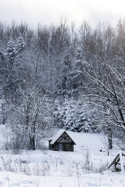 una pequeña casa de madera gris se encuentra en un bosque de ladera en la nieve esponjosa blanca de invierno - Foto, imagen