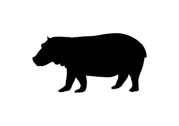 Silueta Hippo negra sobre fondo blanco - Vector, Imagen