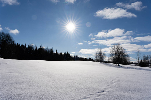 Білий сніжно-латвійський пейзаж взимку, де можна побачити велике поле з глибоким білим пухнастим снігом, а за ним різні дерева, а над деревом синє небо з сонцем і білими пухнастими хмарами.. - Фото, зображення