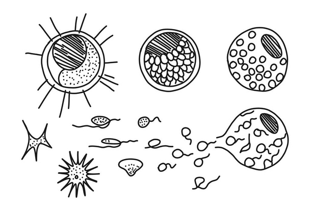 Heterogenic monads nittela origin, vector illustration. - Vettoriali, immagini