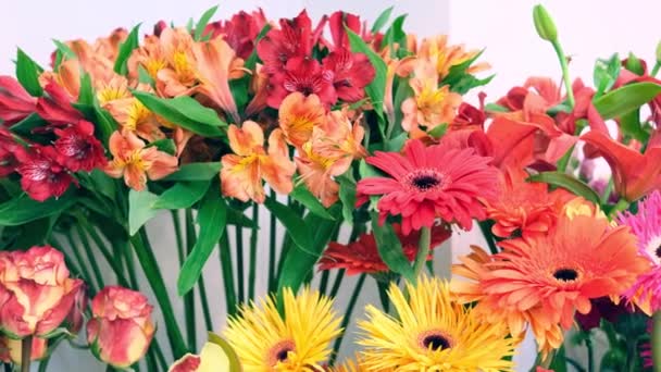 Friss, gyönyörű színes virágok közelről egy virágüzletben. A koncepció kiválasztása és megvásárlása ajándék, nyaralás. - Felvétel, videó