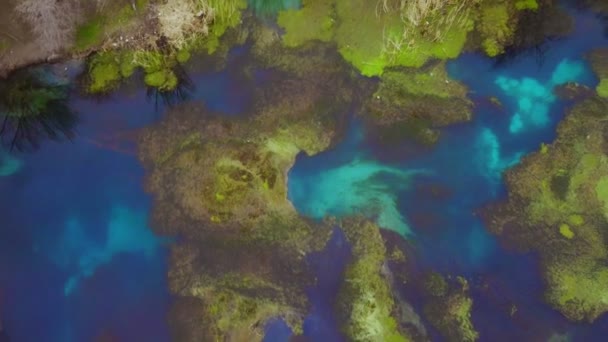 Flug über einen sumpfigen Quellsee - Filmmaterial, Video