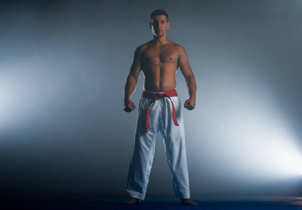 Un atleta con cinturón negro y en karategi realiza un ejercicio formal de karate - Foto, imagen