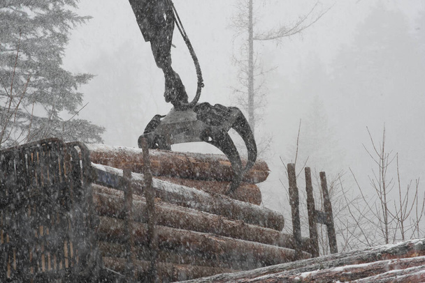 chargement du bois de la forêt avec une grue en hiver - Photo, image