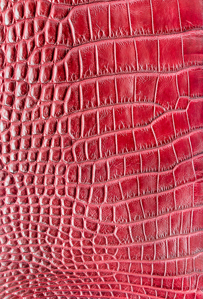 Красный крокодил кожаный фон
 - Фото, изображение