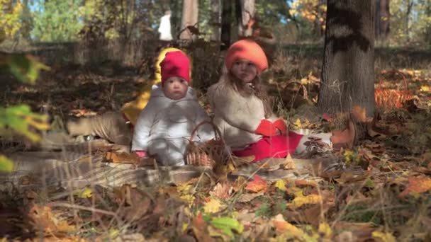 Authentic little cute caucasian preschool children boy girl infant baby in fallen yelow leaves in Autumn park or forest. Kids play hide and seek. Family in fall. Nature, Season, Childhood concept - Footage, Video