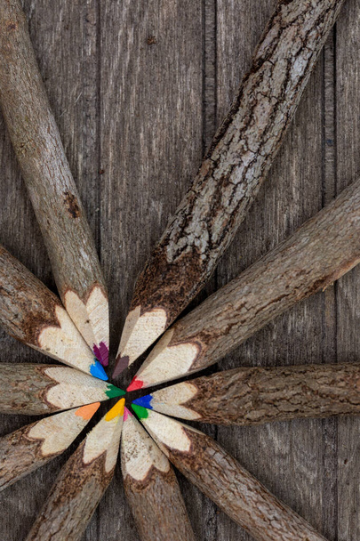 círculo de crayones de madera arreglados, sin tratar con corteza de árbol real en tablero de madera con diferentes colores para estudiantes, artistas y amantes de la naturaleza. Vertical - Foto, Imagen