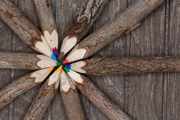 untreated wood crayons with tree bark on a wooden board in a circle with many different colors like yellow, blue and red for students, artists and nature lovers. Horizontal - Photo, Image
