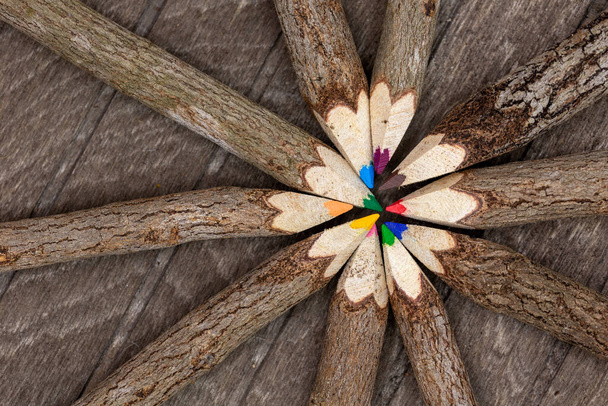 ακατέργαστες ξυλομπογιές με πραγματικό φλοιό δέντρου σε ξύλινη σανίδα τοποθετημένη σε κύκλο με διαφορετικά χρώματα για τους μαθητές, τους καλλιτέχνες και τους λάτρεις της φύσης. Οριζόντια - Φωτογραφία, εικόνα