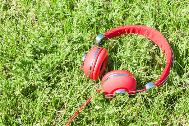 Colorful red headphones on sunlight glade - Foto, imagen