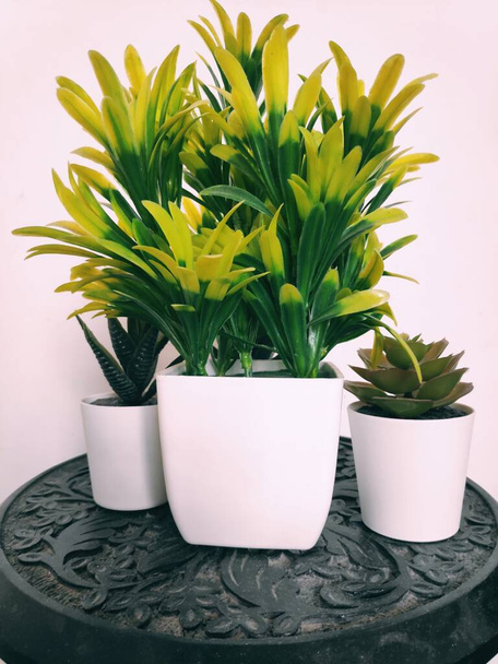 Bela planta verde artificial em vaso branco isolado no fundo branco. - Foto, Imagem