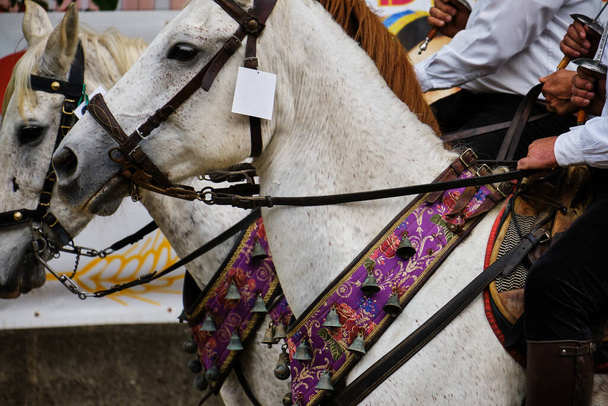 Sa Sortilla, Sortija, festival equestre em Iglesias, Sardenha, Itália - Foto, Imagem