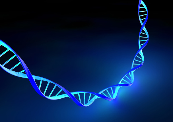 Molécules d'ADN
 - Photo, image