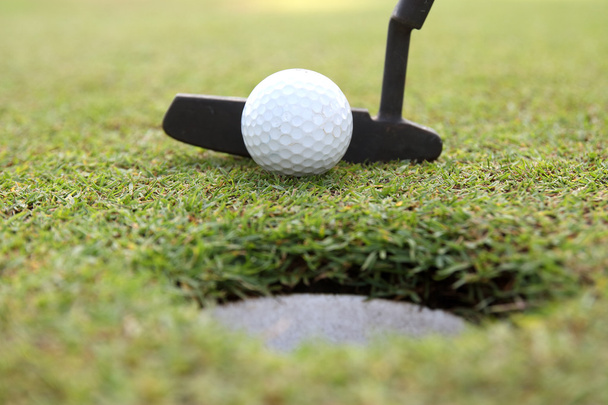golflabda füvön - Fotó, kép