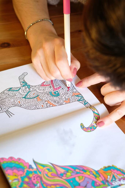 woman with beautiful fingernails using a felt pen to color a book - Photo, Image
