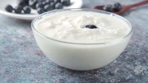 gros plan de yaourt frais avec des baies bleues dans un bol  - Séquence, vidéo