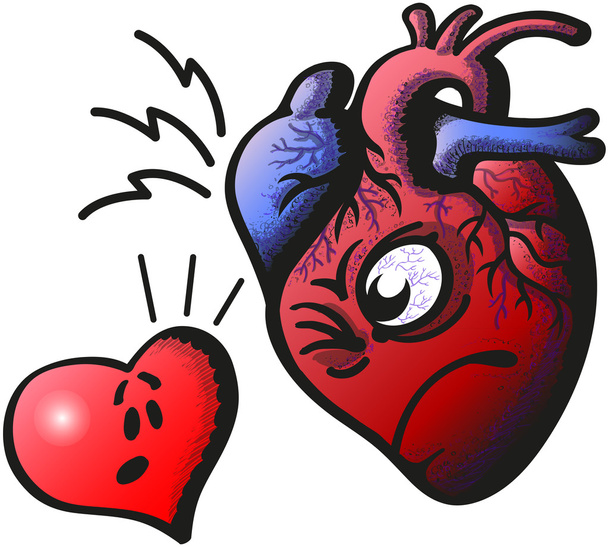 anatómiai változata a szív- és karikatúra verzió - Vektor, kép
