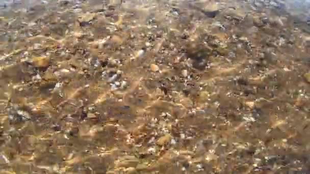 Deniz kabukları ve küçük kayalarla kaplı kumlu deniz yatağı. Güneş ışığı çizgileri hareket ediyor - Video, Çekim