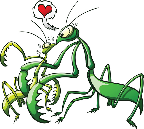 Gran y amenazante mantis religiosa femenina
 - Vector, imagen