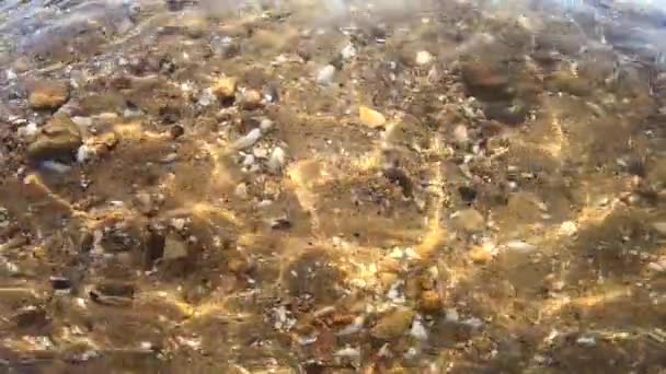 貝殻や小さな岩で砂の海底。太陽のグレア線が動く - 映像、動画