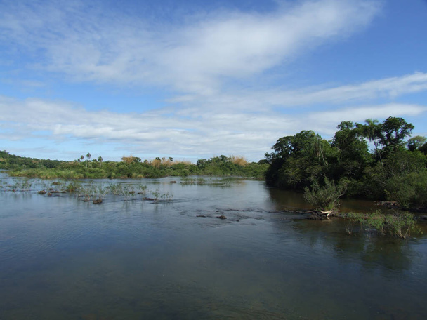 Il fiume Rio Iguazu, Brasile - Foto, immagini