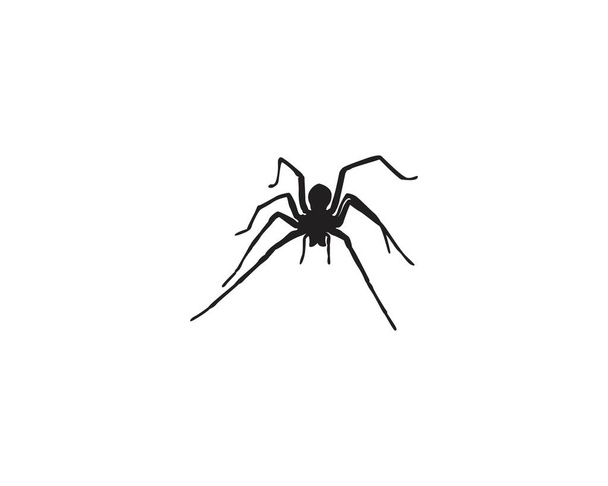 Ilustração do ícone do logotipo da aranha - Vetor, Imagem