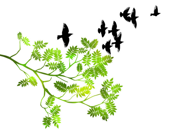 Summer branch with fresh green leaves - Vector, Image