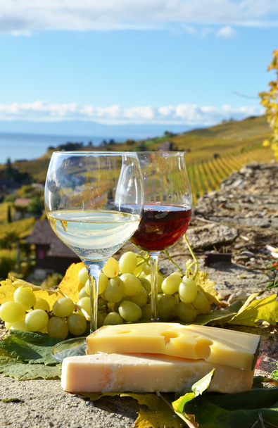 twee wijnglazen, kaas en druiven - Foto, afbeelding
