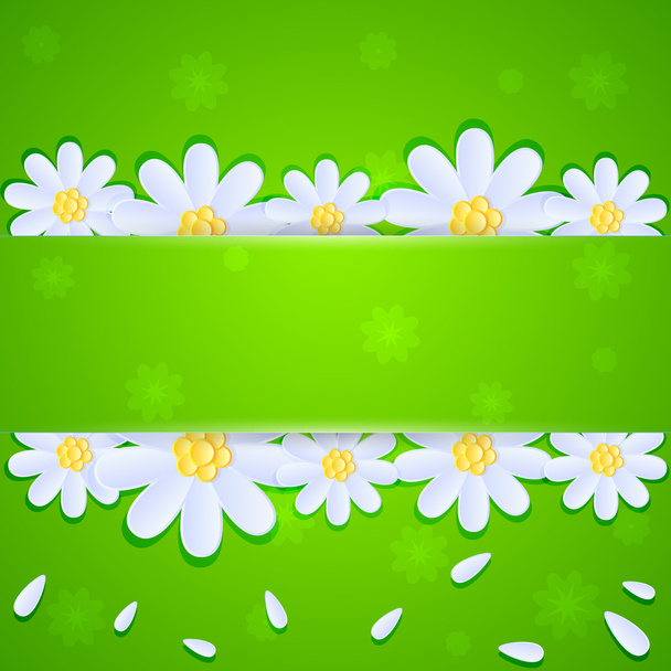 Daisies on green background - Διάνυσμα, εικόνα