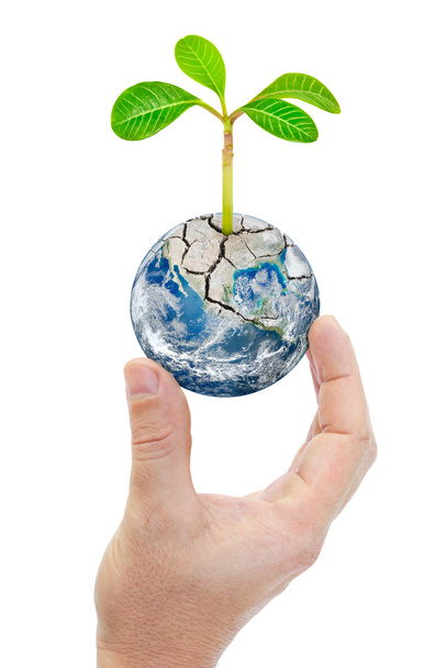 Hand hält Planet Erde mit Pflanzen isoliert auf weißem Hintergrund - Foto, Bild