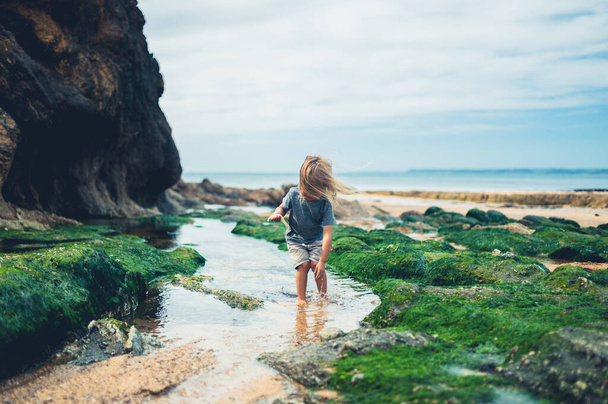A little preschooler is playing in rock pools on the beach - Foto, Imagem