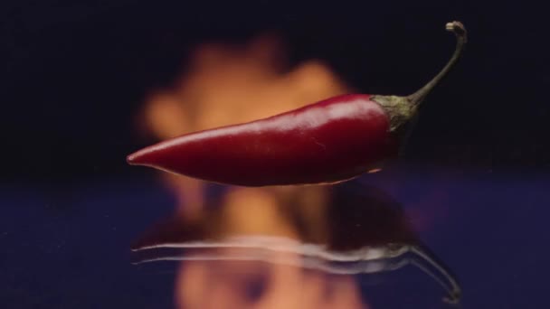 Red hot chilli pepř ležící na skleněném povrchu s hořícím ohněm na pozadí. Záběry ze skladu. Koncept kořeněné asijské kuchyně. - Záběry, video
