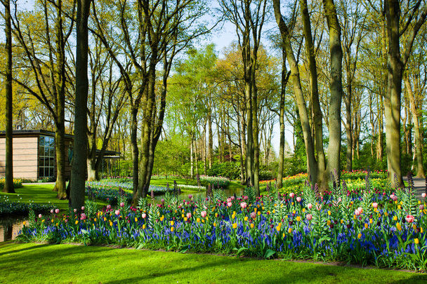 Frühlingsgartenlandschaft - Foto, Bild