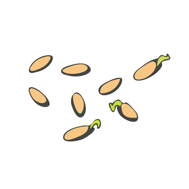 Cucumber seeds, closed and sprouted in a doodle style on a white background. Vector illustration. - Vector, Image