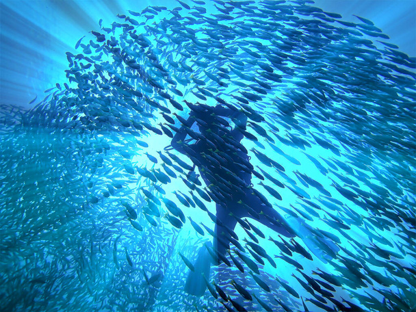 Verbazingwekkende en artistieke onderwaterfoto van een duiker in een enorme school vissen in het zonlicht. Van een duikvlucht in Thailand. - Foto, afbeelding