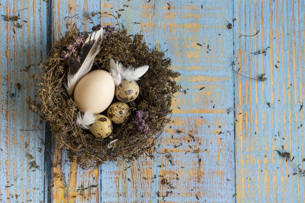 Natura morta concettuale con uova di quaglia e gallina nel nido su sfondo scuro - Foto, immagini